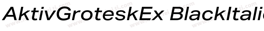AktivGroteskEx BlackItalic字体转换